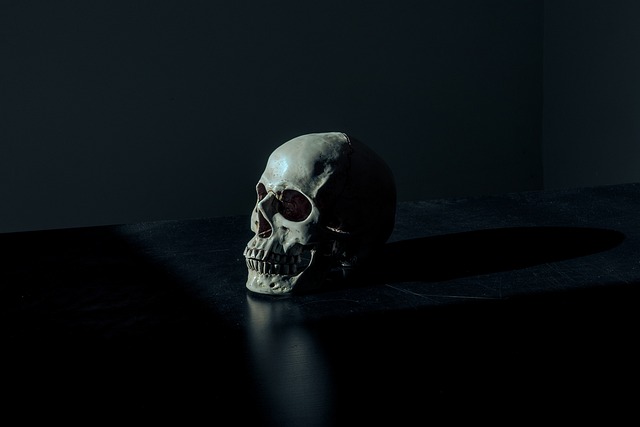 A skull in the middle of a black table with a black background in darkness